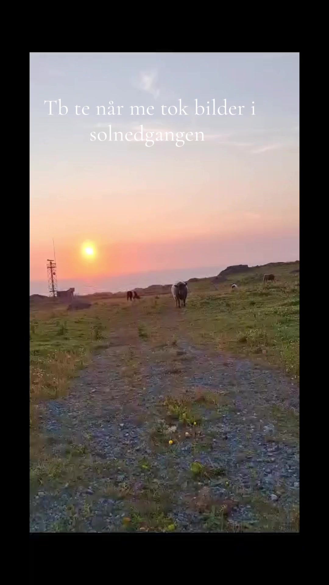 @iseeelin