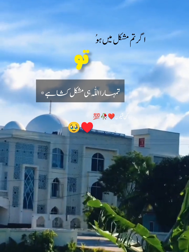 @کن فیکون ❤️
