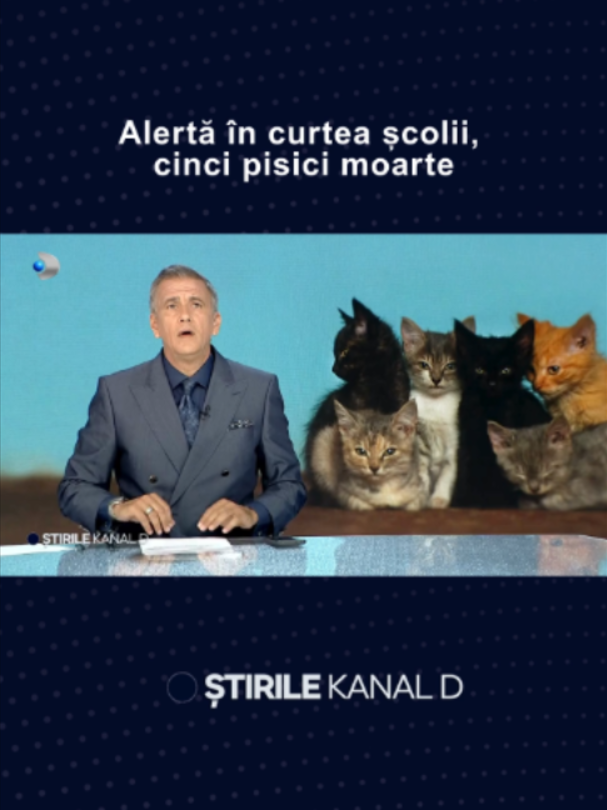 @Stirile Kanal D