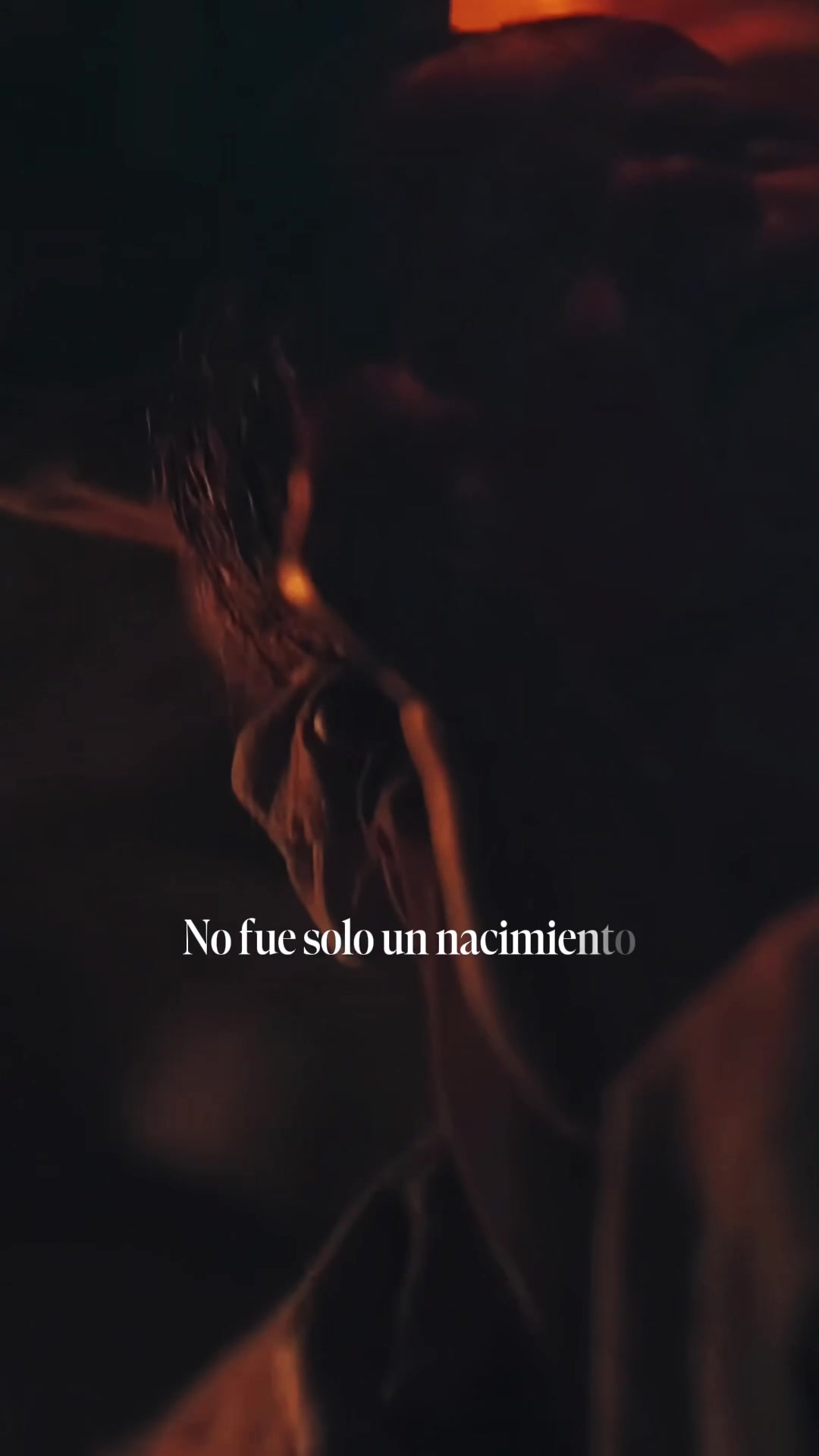 @Tony Vargas