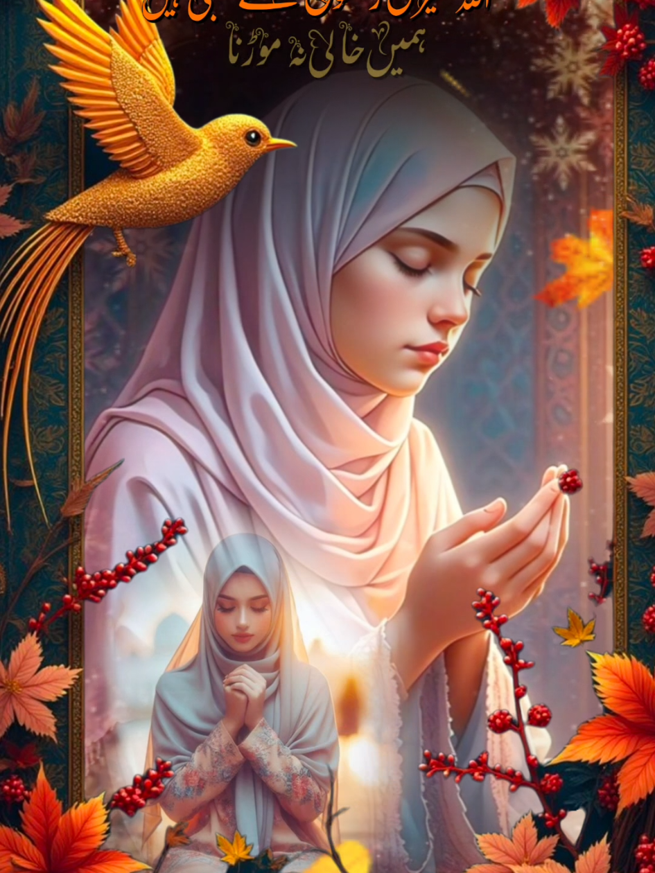 @Urdu_Templates