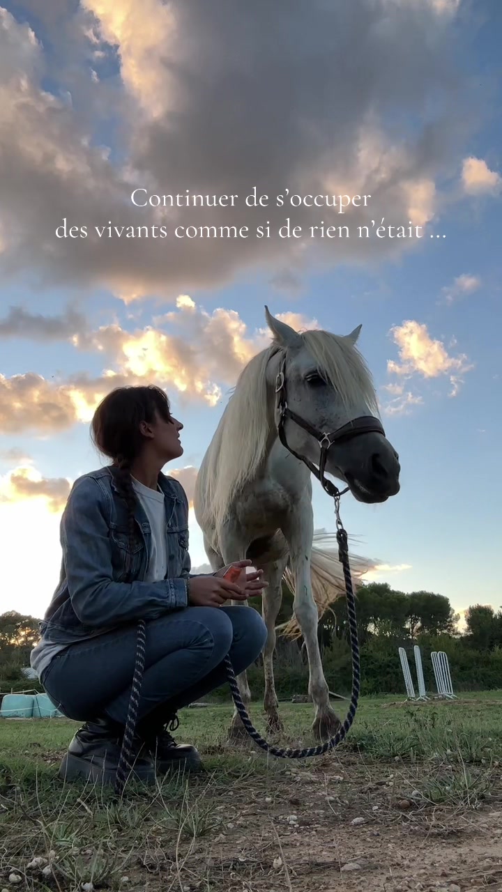 @Hannah&ensp;ost&eacute;opathie&ensp;animale&ensp;🐎