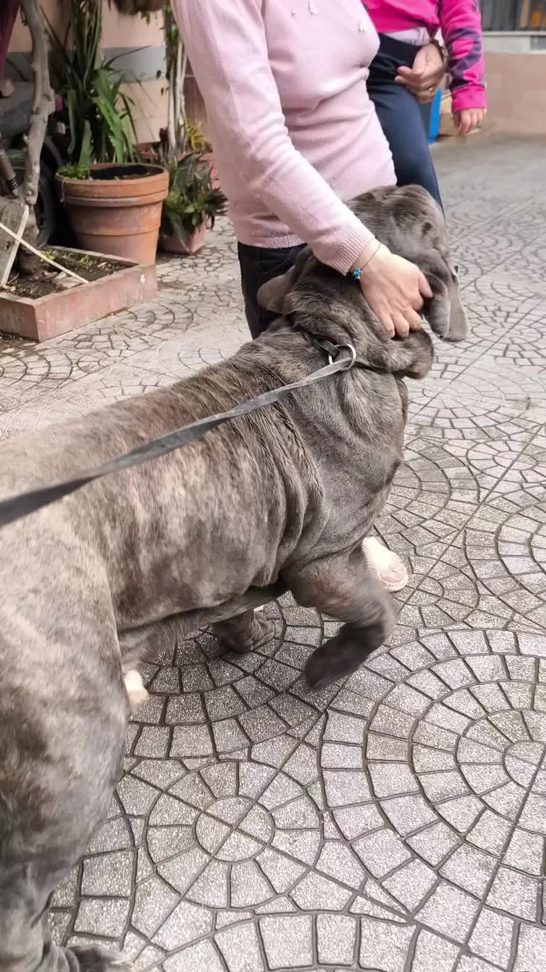 @fortunaserra