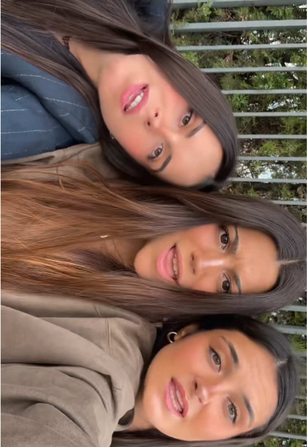@sofisee_
