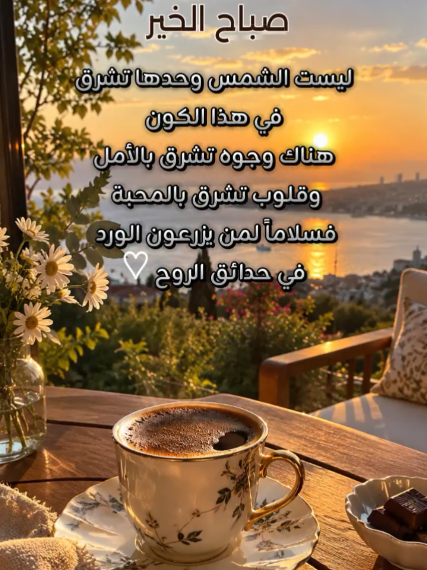 @Chef nano 🖤♡🍃