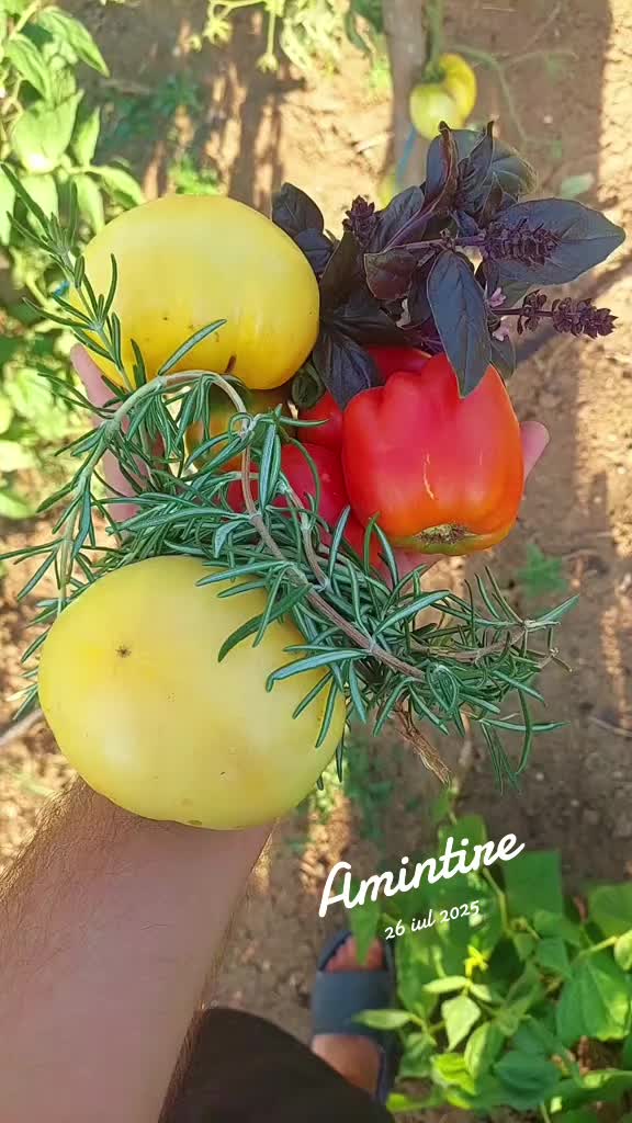@Viața Satului Bihorean🌏