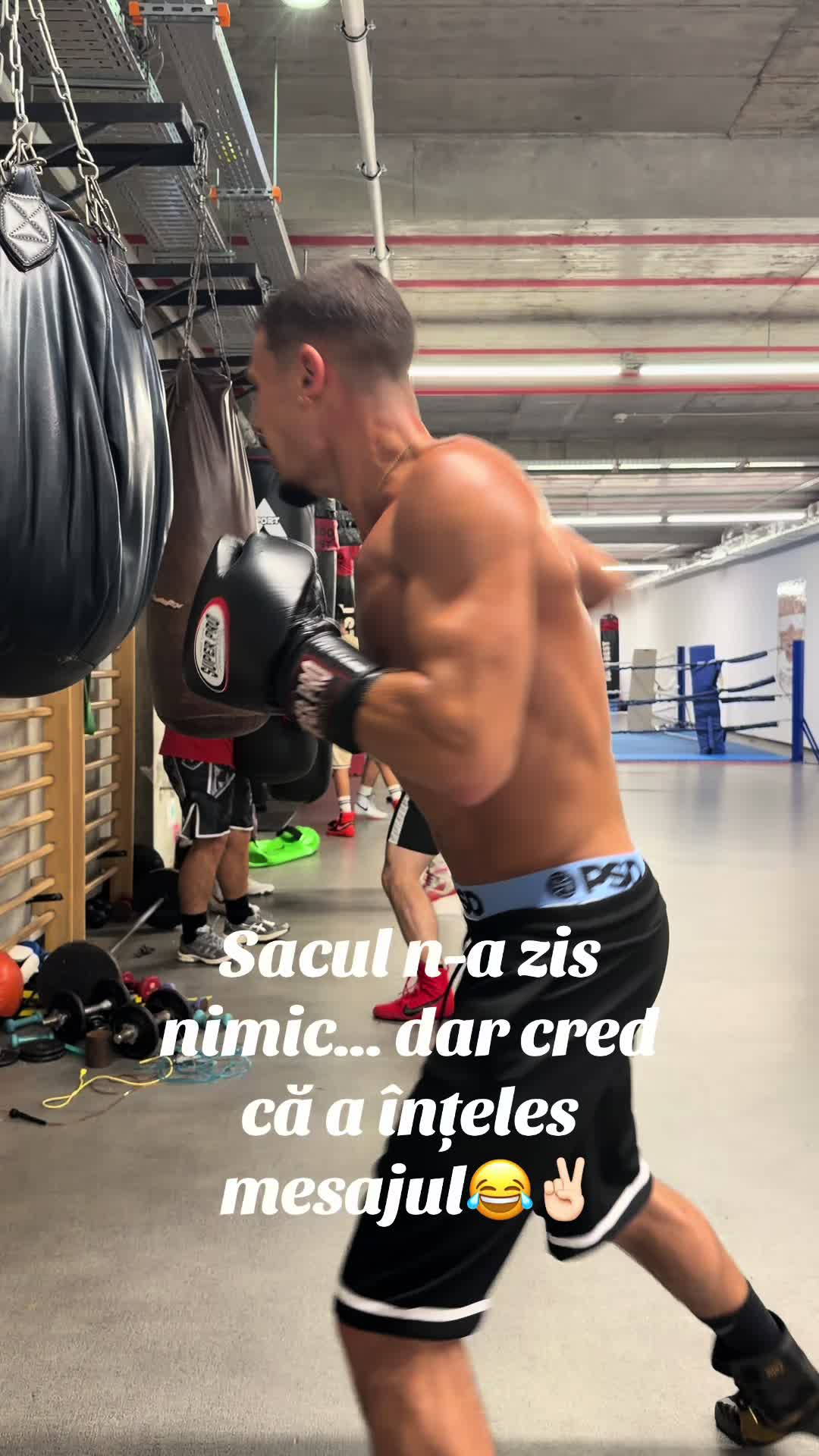 @C.S RAPID BUCUREȘTI - BOX 🥊