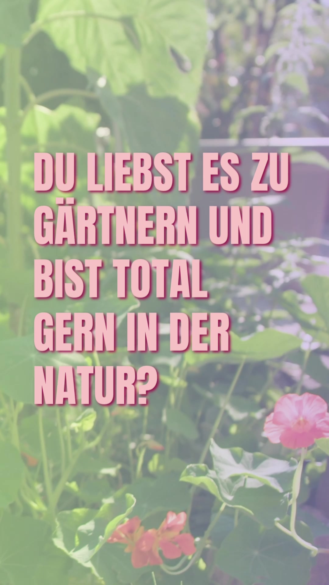@sprungbrett_deine_basis