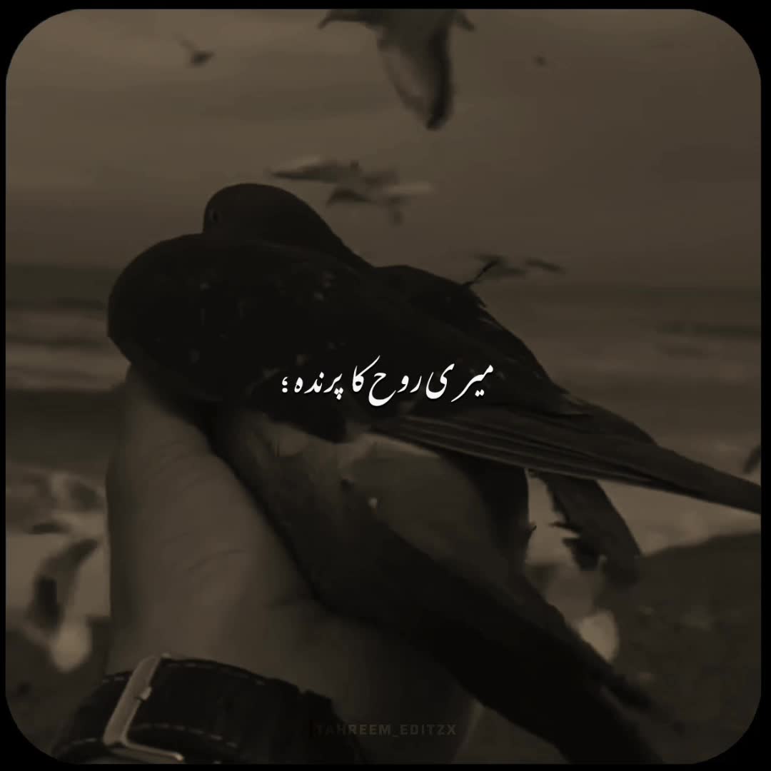 @DEAD SOUL~