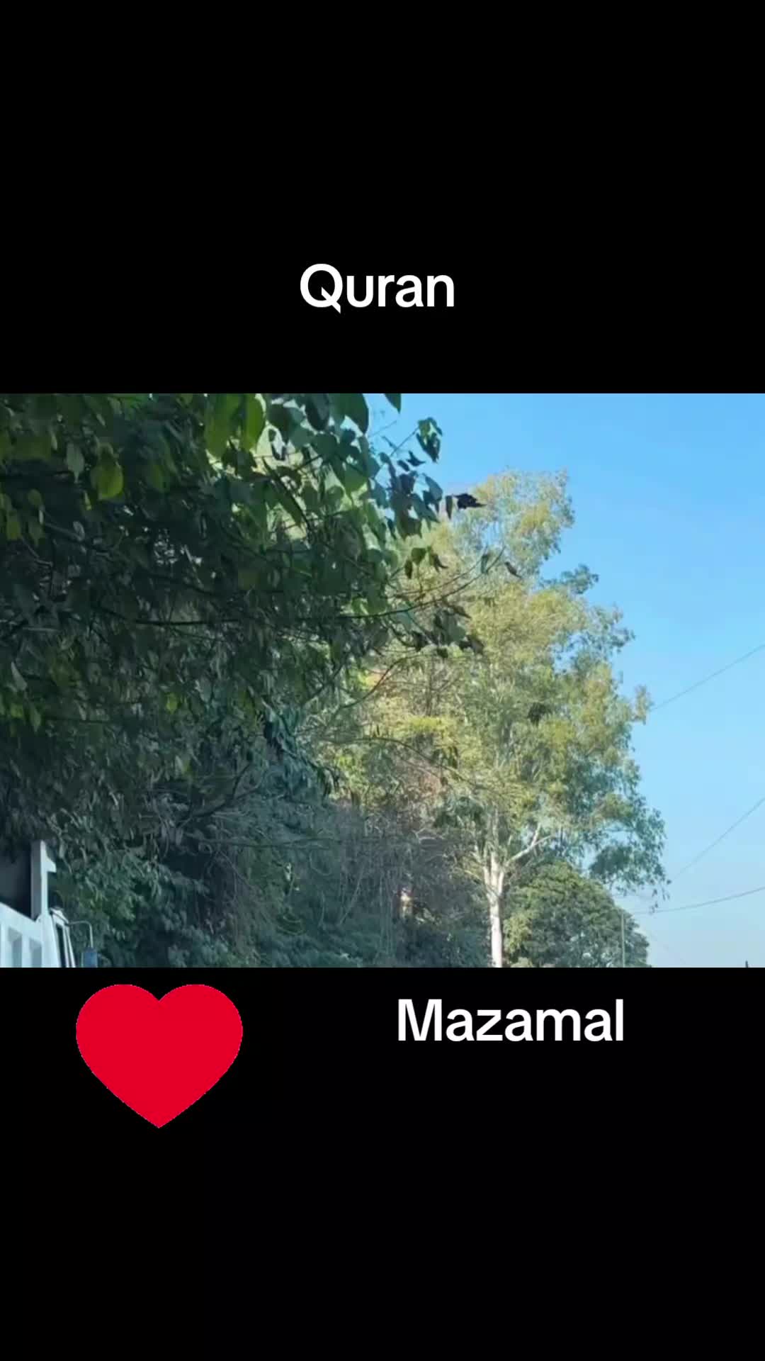 @🍁MAZAMAL804