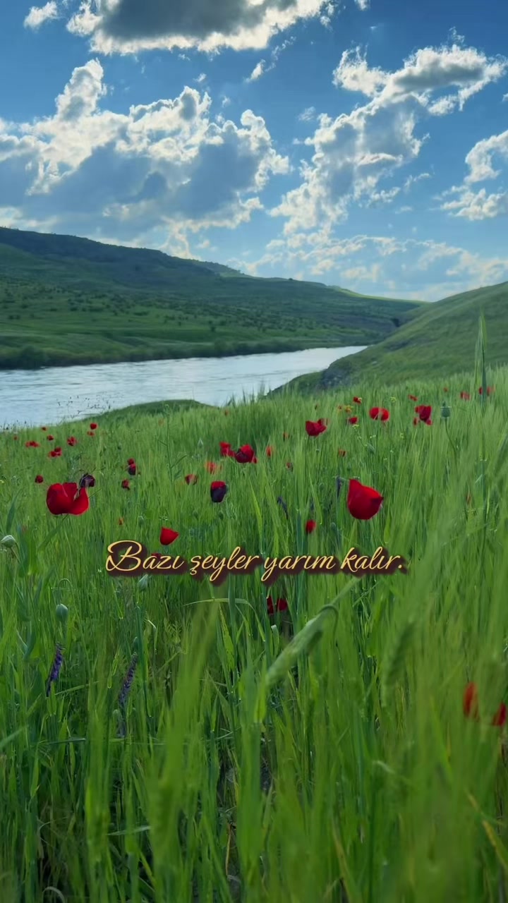 @akif.ozek