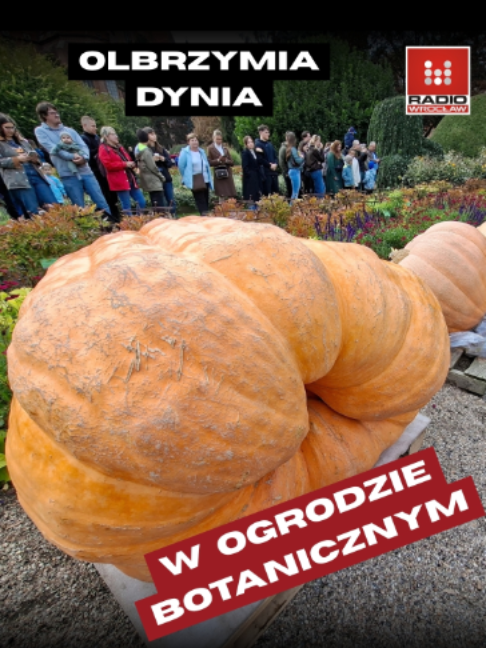 @Radio z Dolnego Śląska