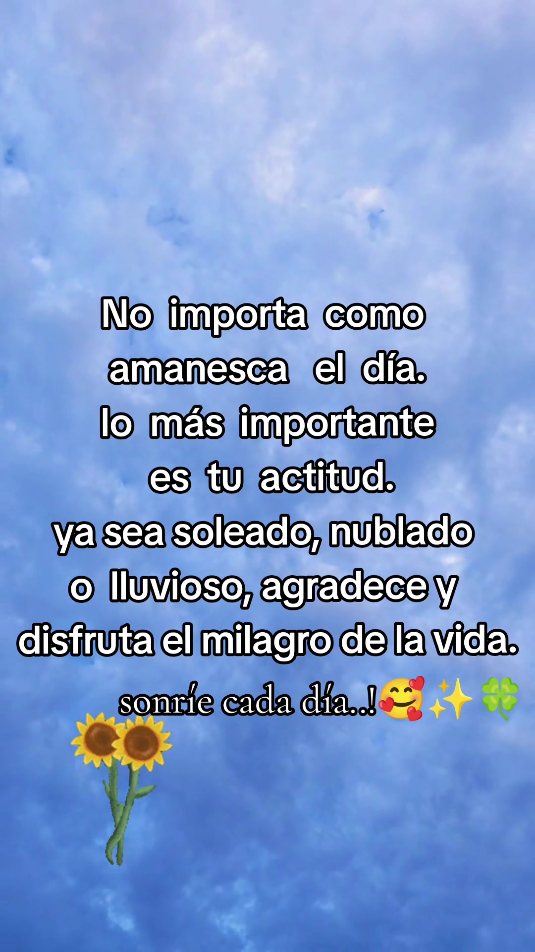 @💙🧩 NOREIDI JARQUIN 💚🦦