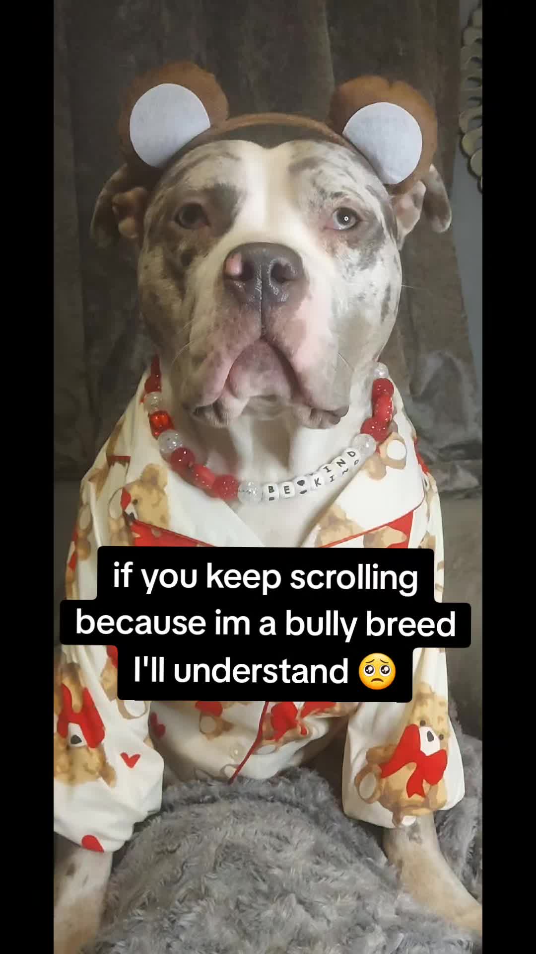 @kirsty+starlight the xl bully