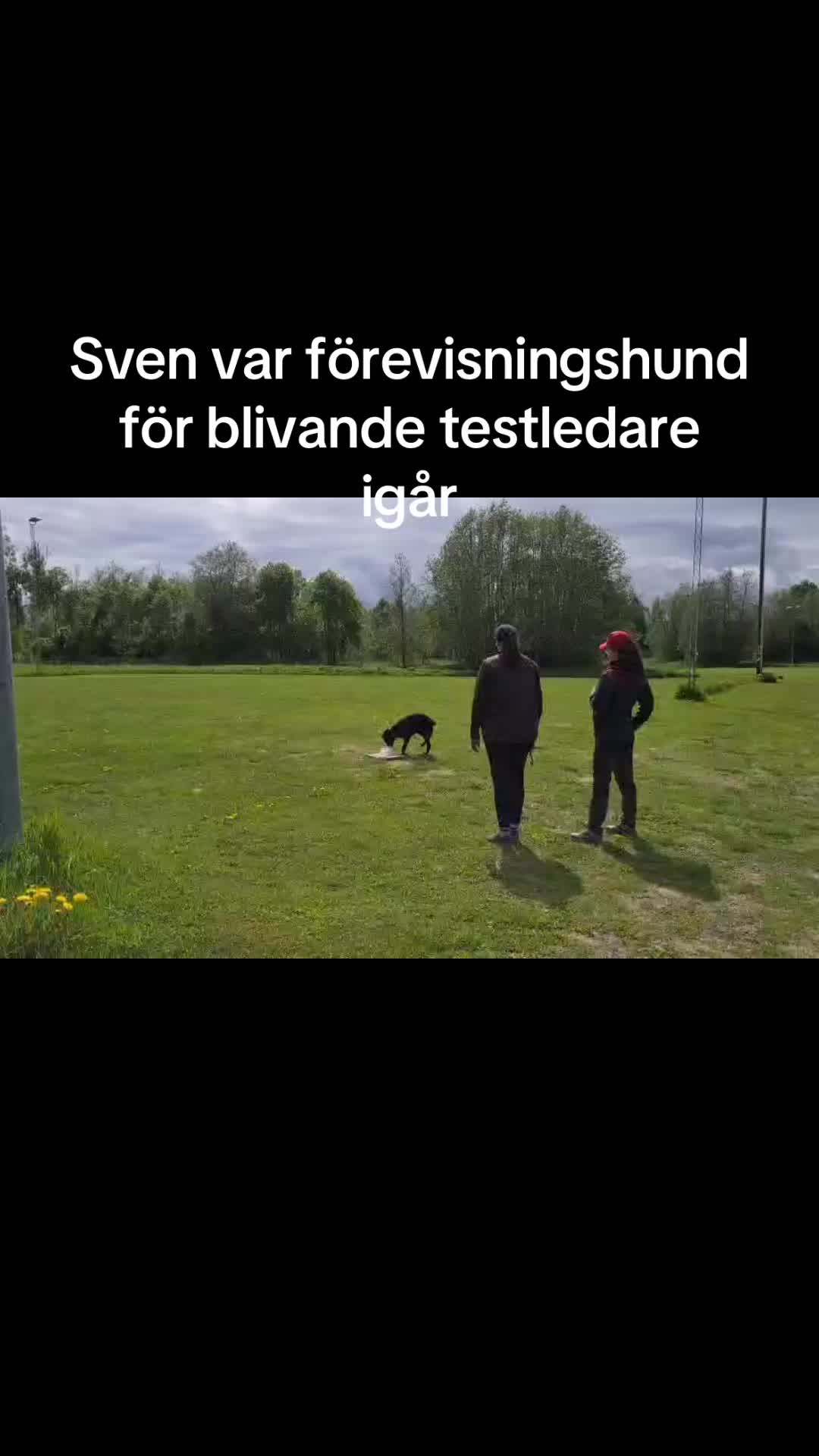 @dutch_lab_stories