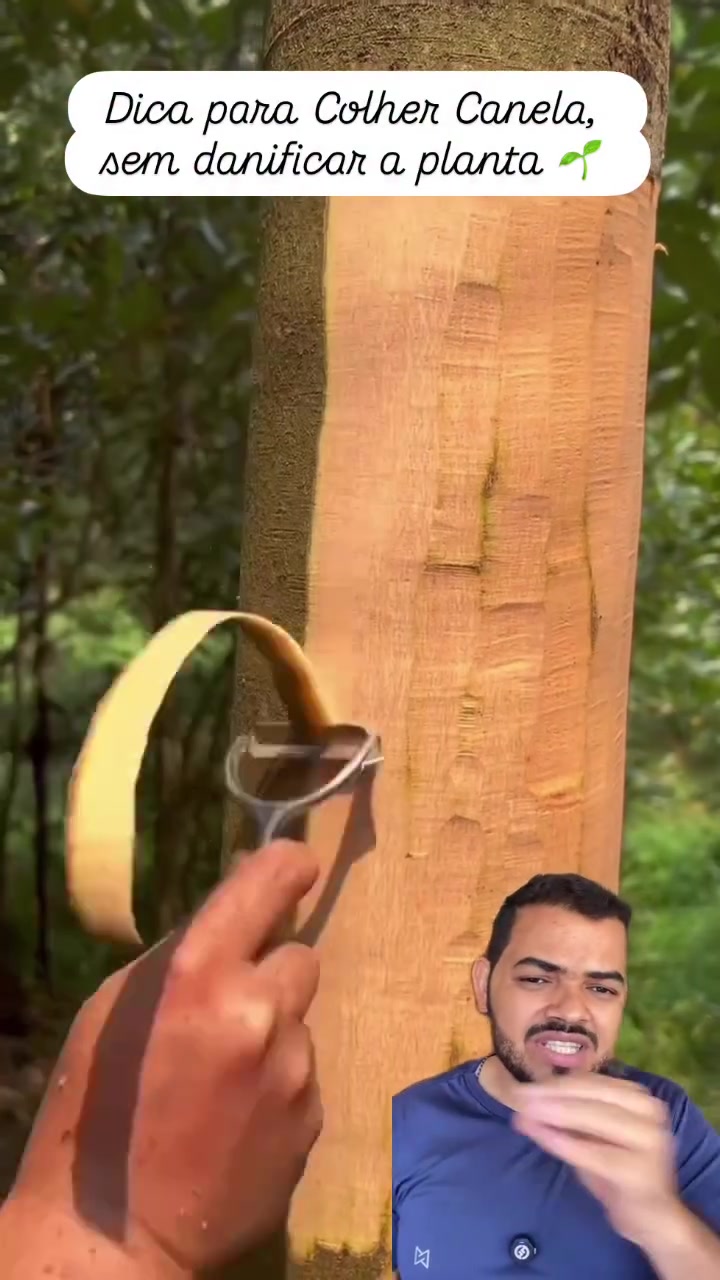 @Obrasilense