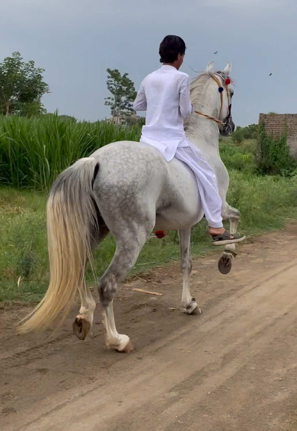 @Baبka♥️🔥