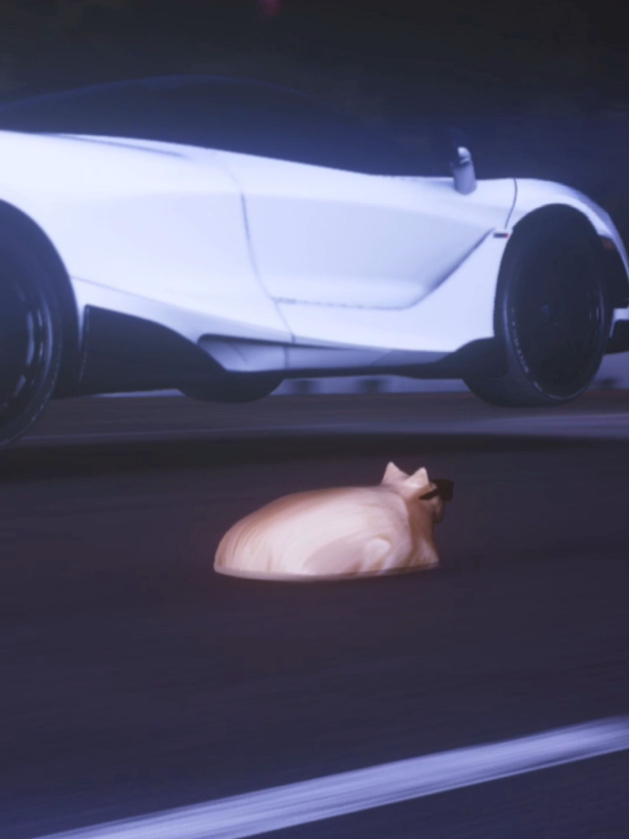 @Pablo the Race Cat