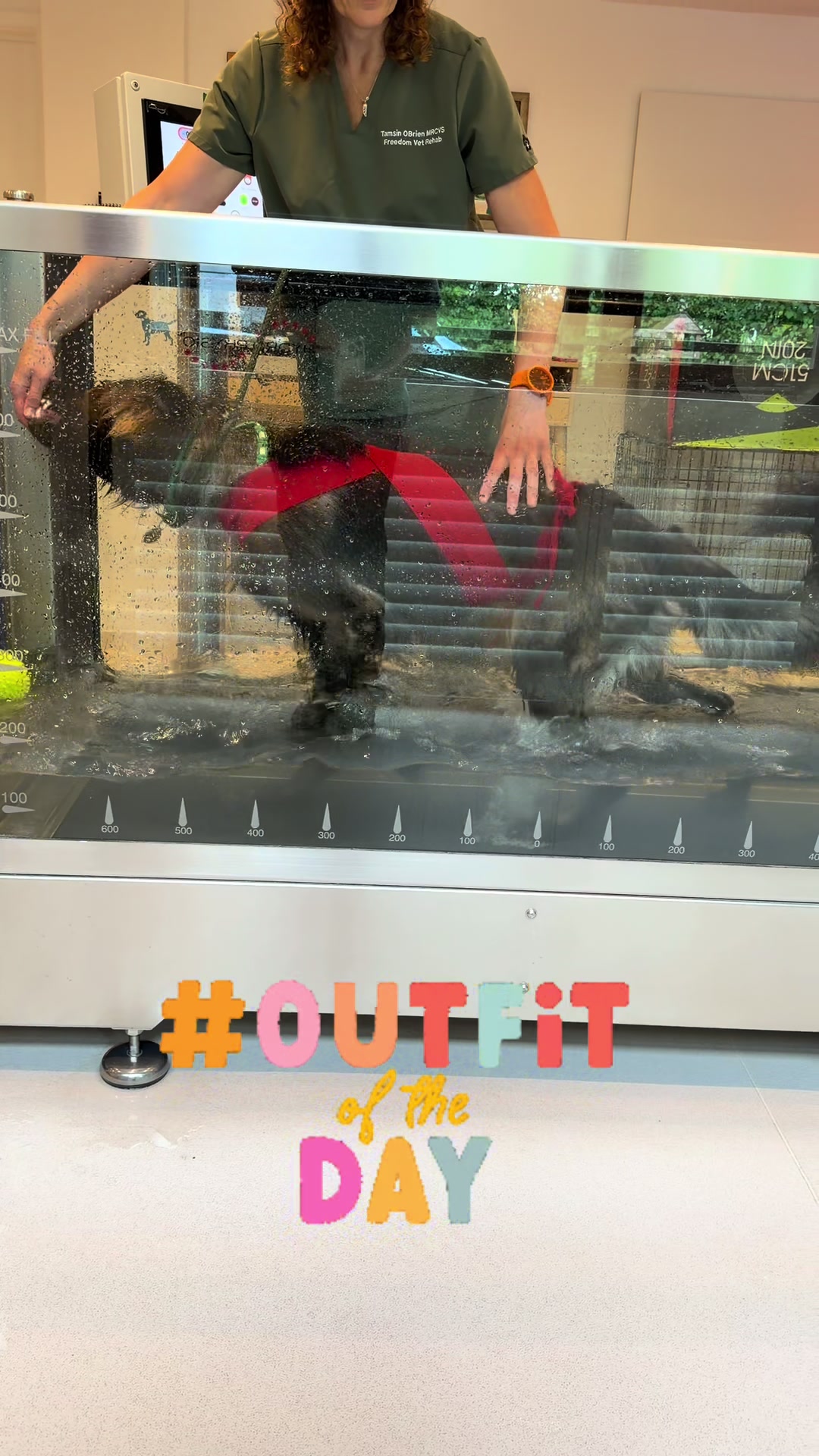 @TheGSDhubwithjennygould