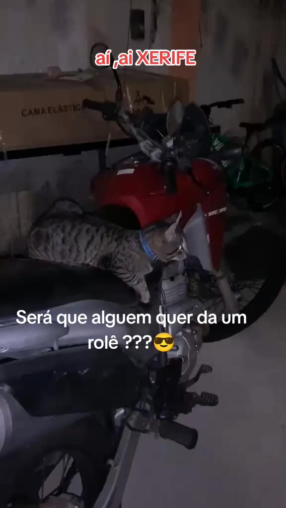 @Patypa de Paulo