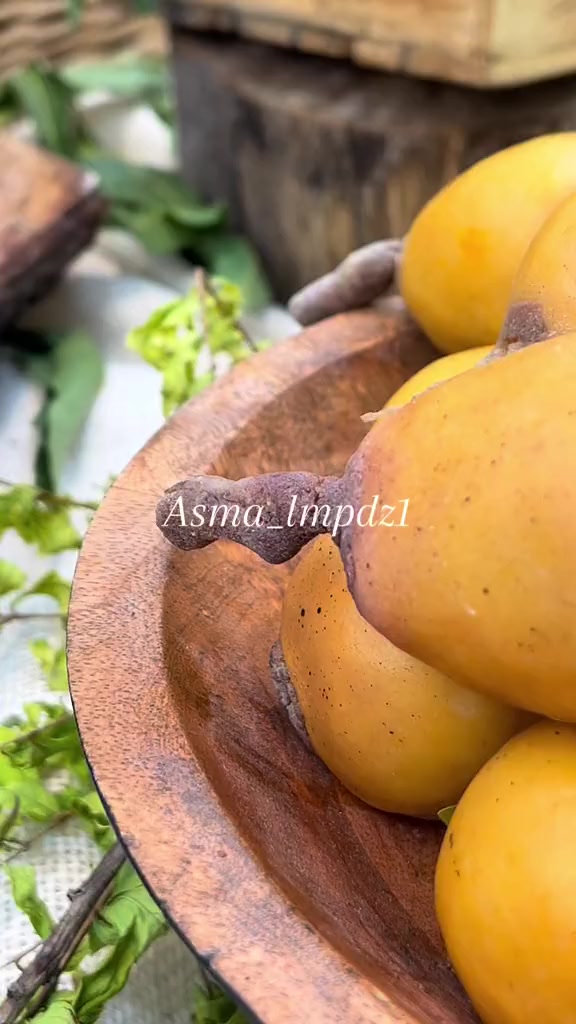 @asma_lmpdz1
