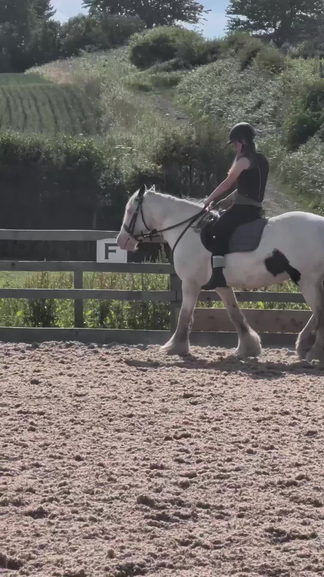 @🐎Riding_with_Holly_🐎