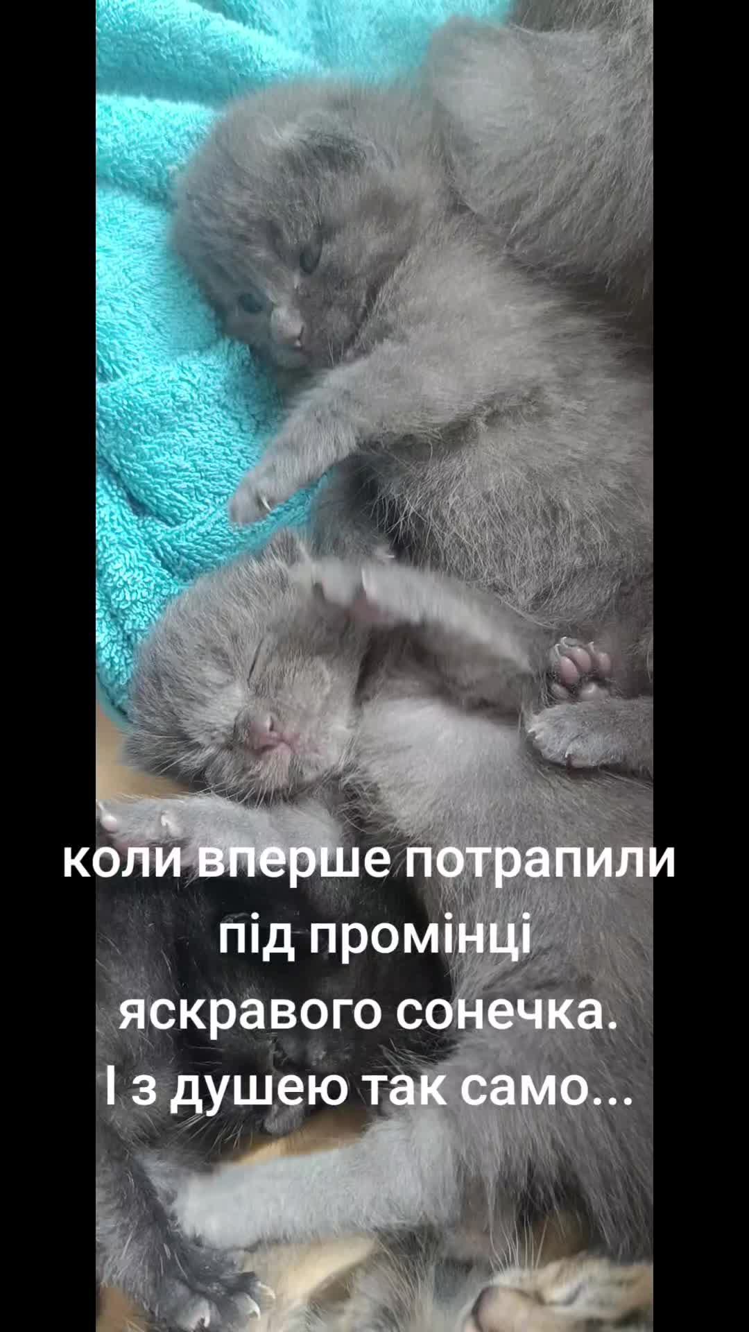 @AutoNina