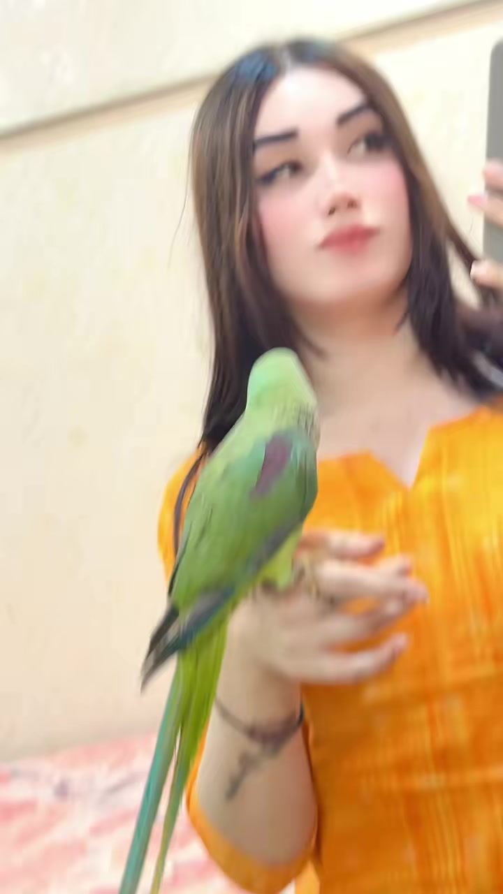 @@Ujala Jaan new account