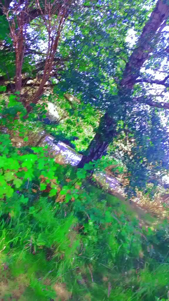 @🔥Nikita🔥