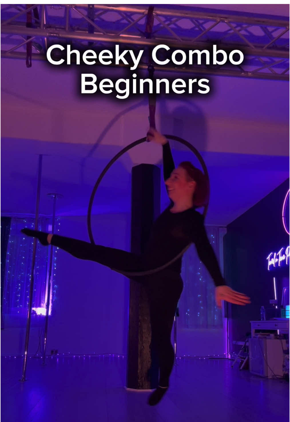 @MichelleT AerialHoop