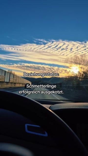 @einfachmely