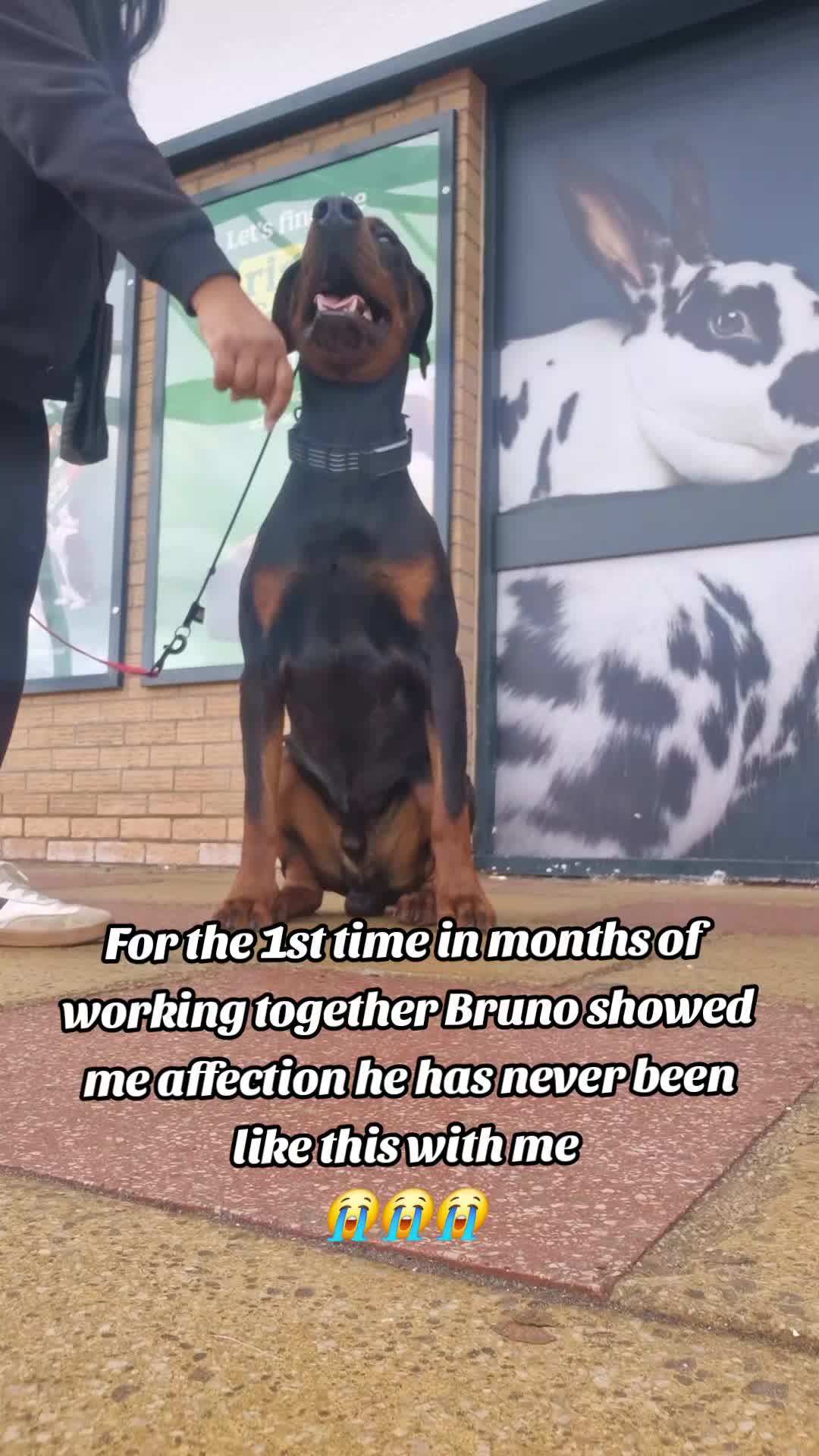 @The Dog Mother Lanarkshire