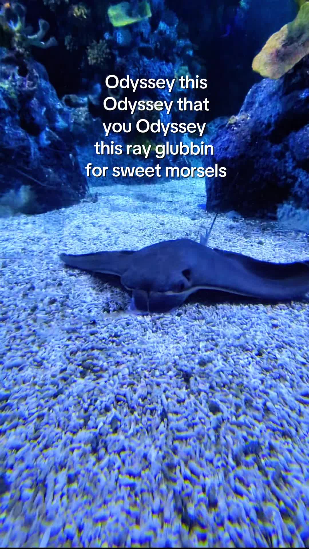 @BristolAquarium