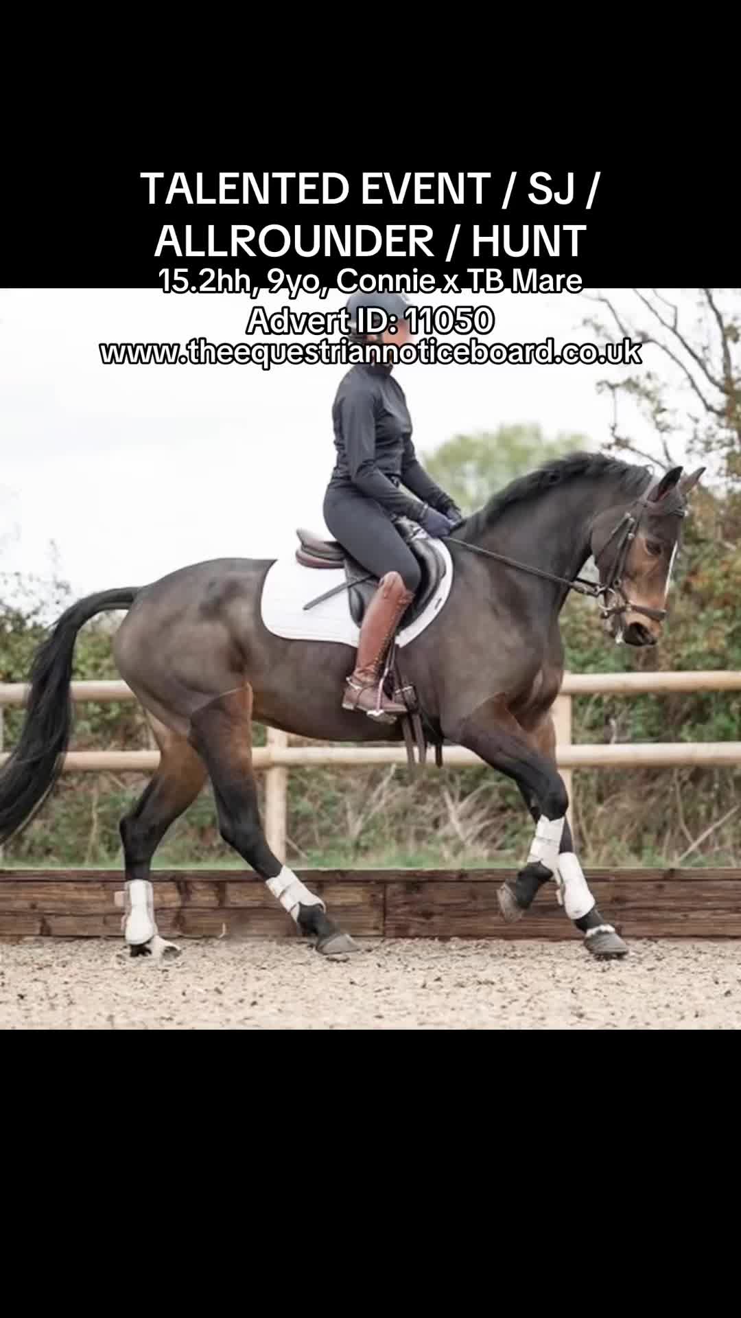 @theequestriannoticeboard