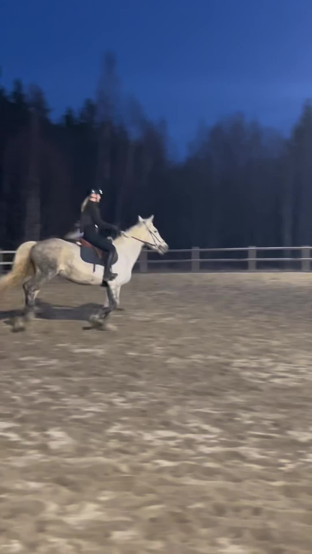 @Ella Grinde🇸🇪