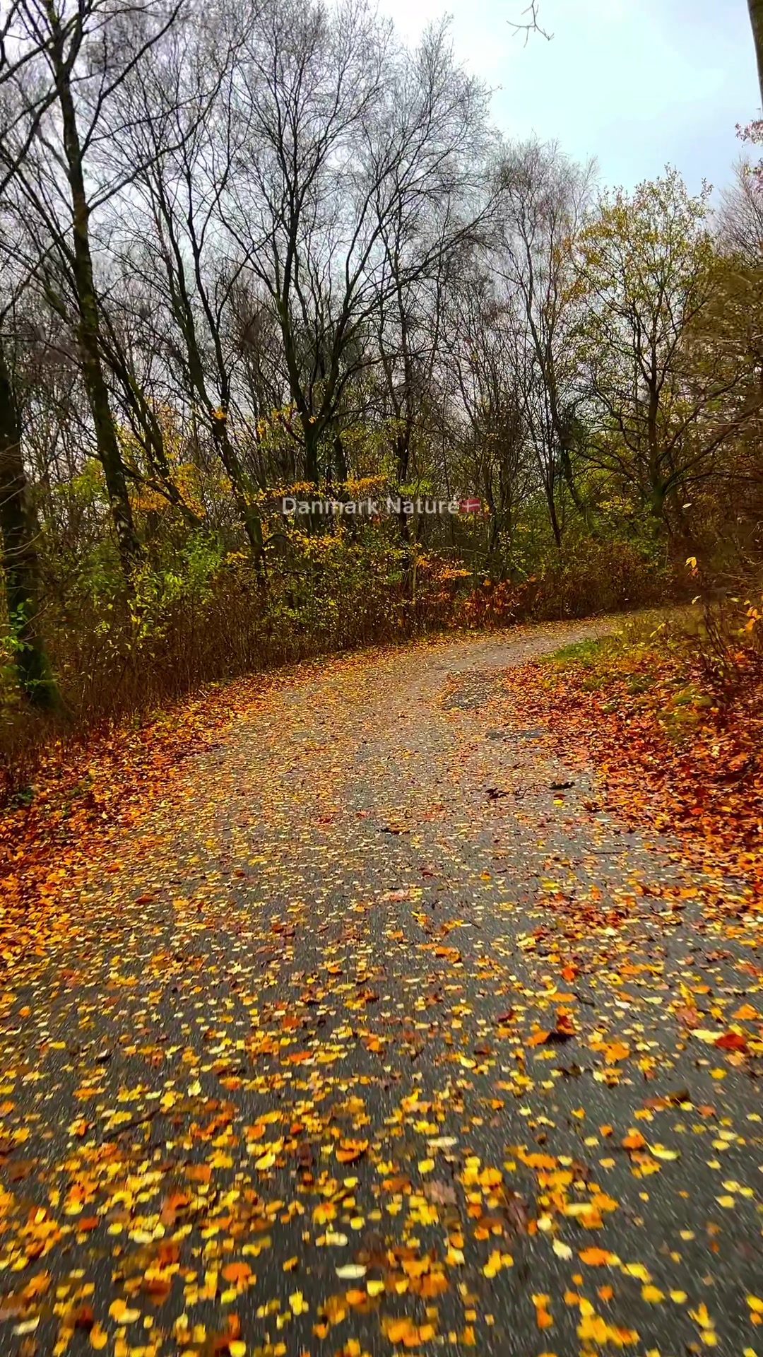 @dk__nature 🇩🇰