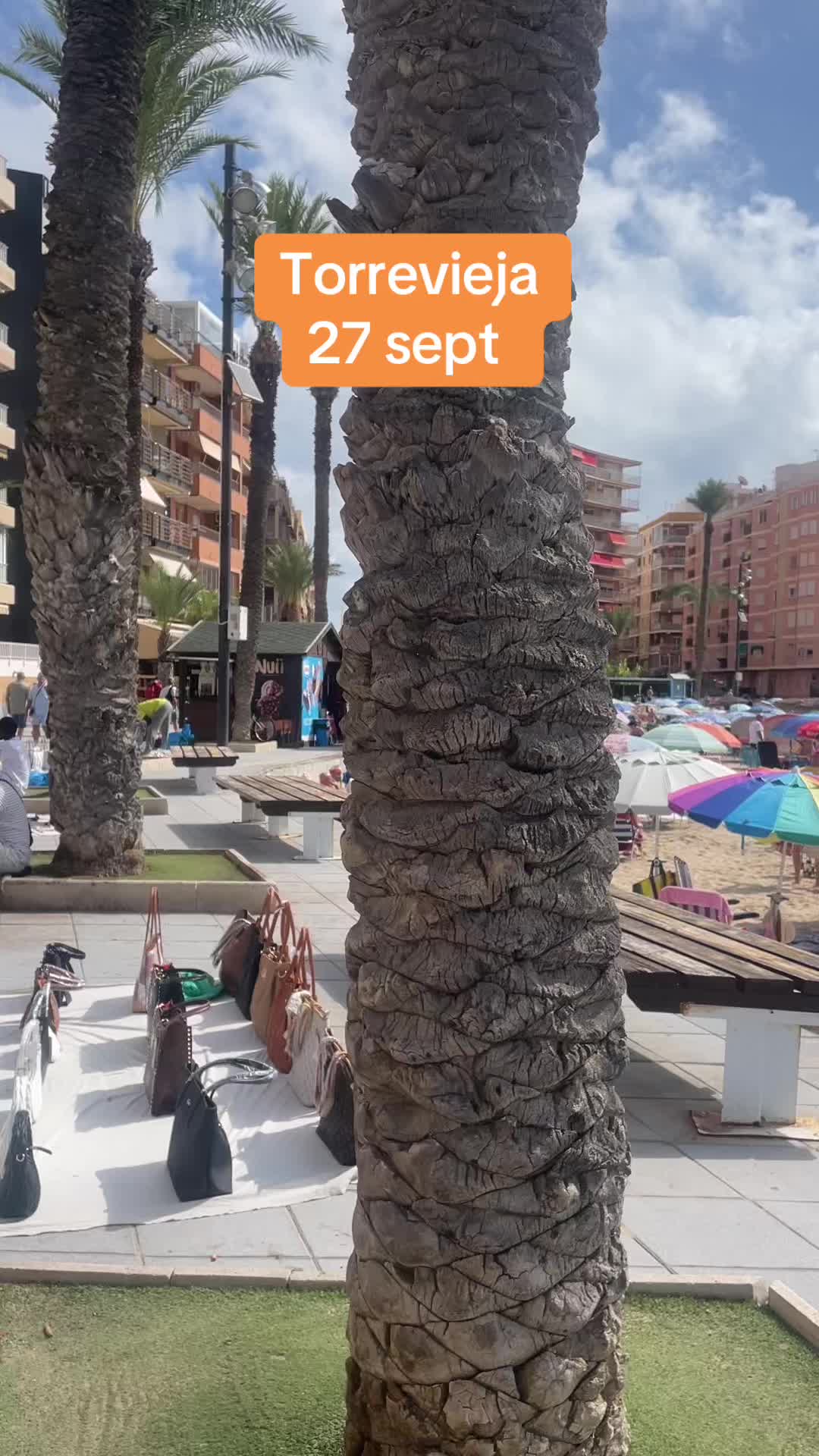 @Paradise