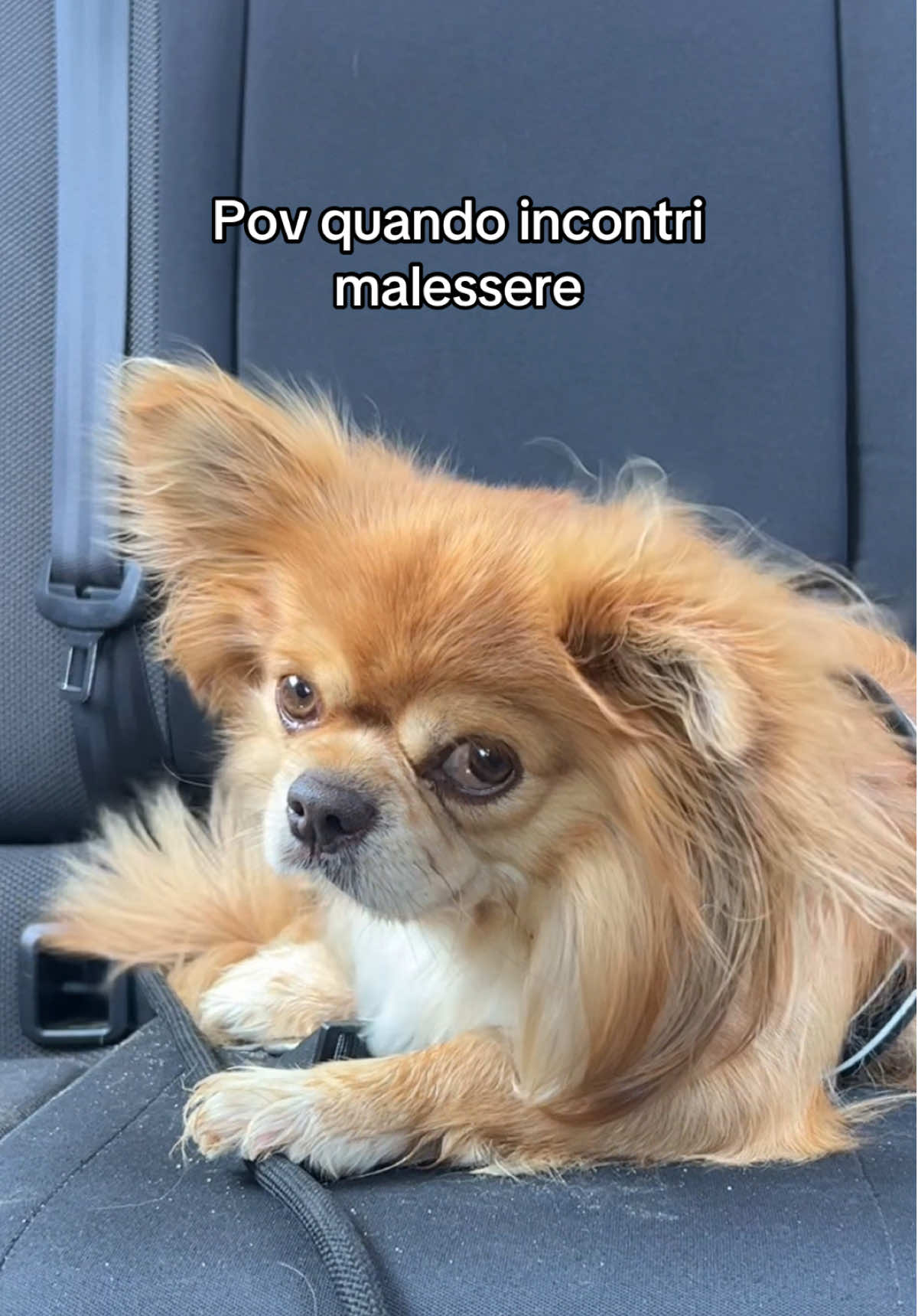 @Leonardo