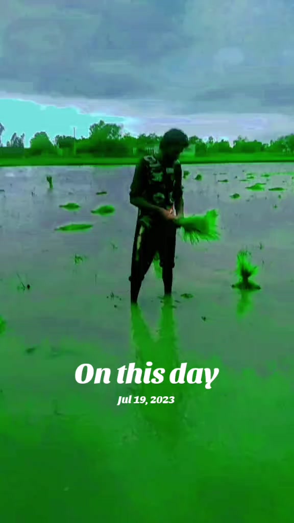 @TARIQBABO44