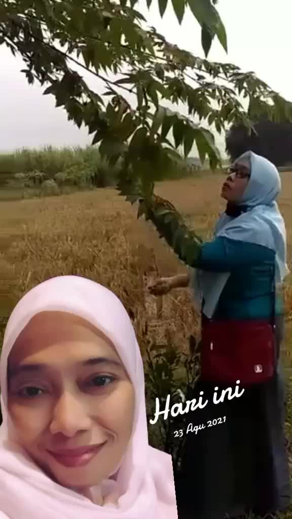 @Wicaksono Hendro