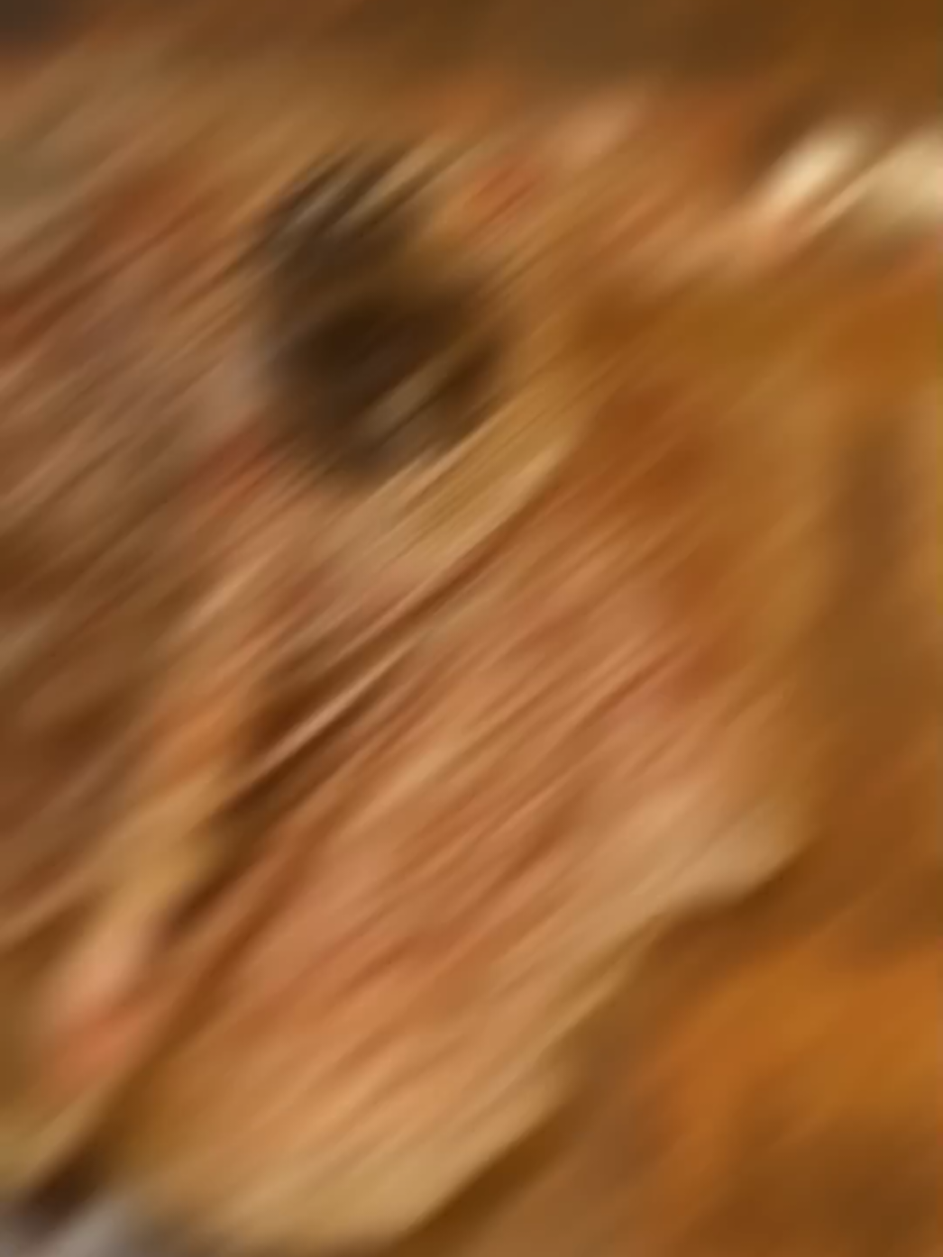 @''(◕‿◕)>Ꮇ_Ꮶ_Ꮢ<(◕‿◕)"
