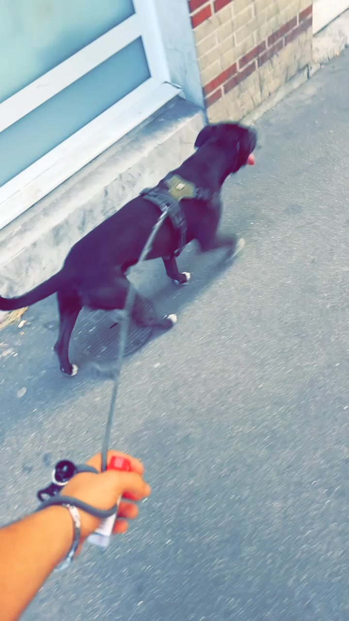 @Noufel25🇨🇭