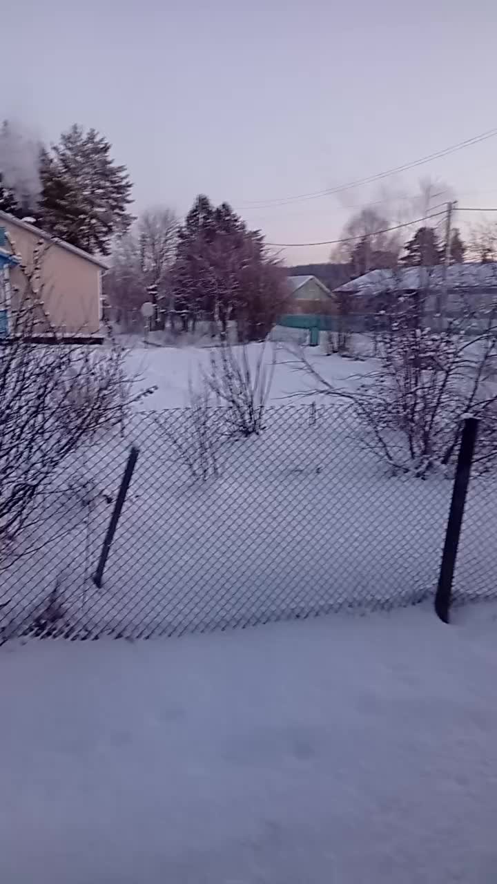 @SAVIKAVIK