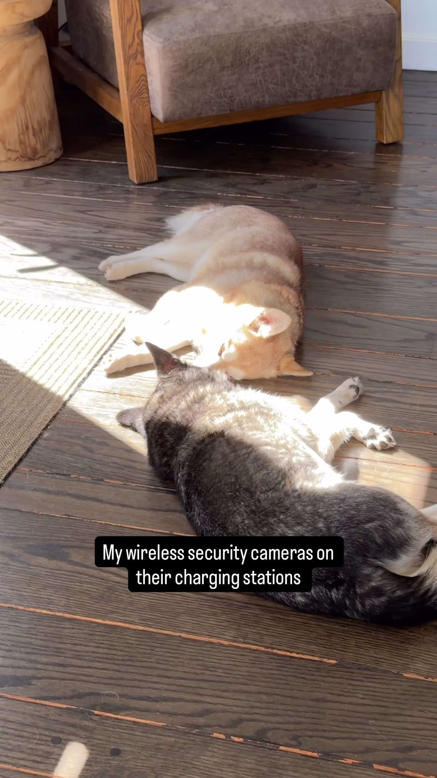 @lifewithkleekai