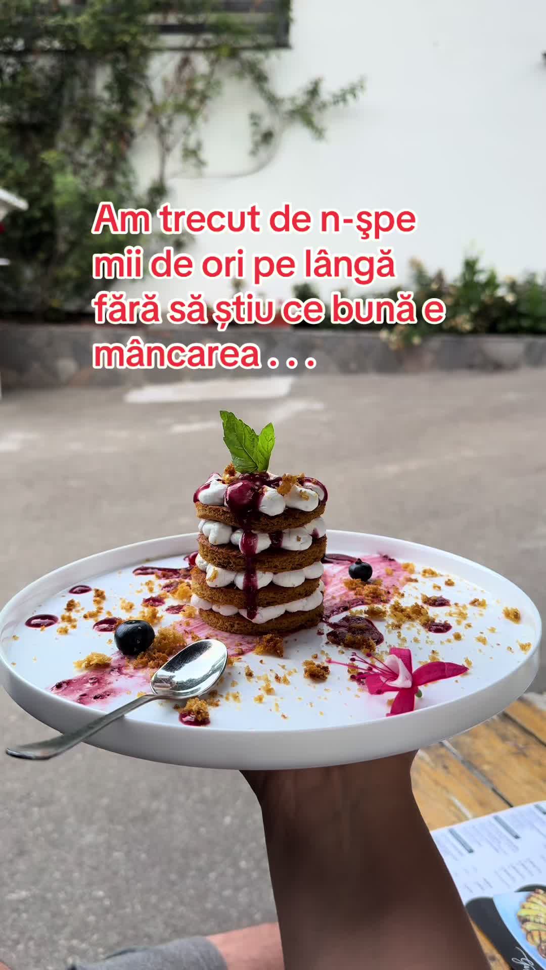 @Crina Hojda
