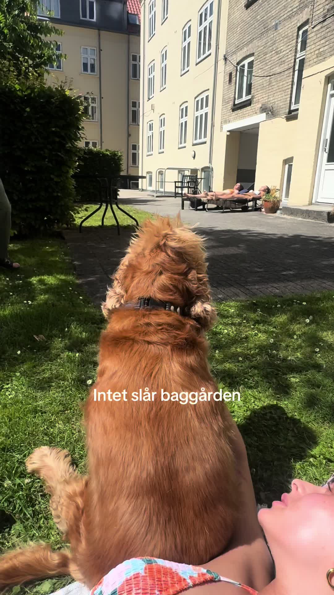 @jagmeetsian🌶️