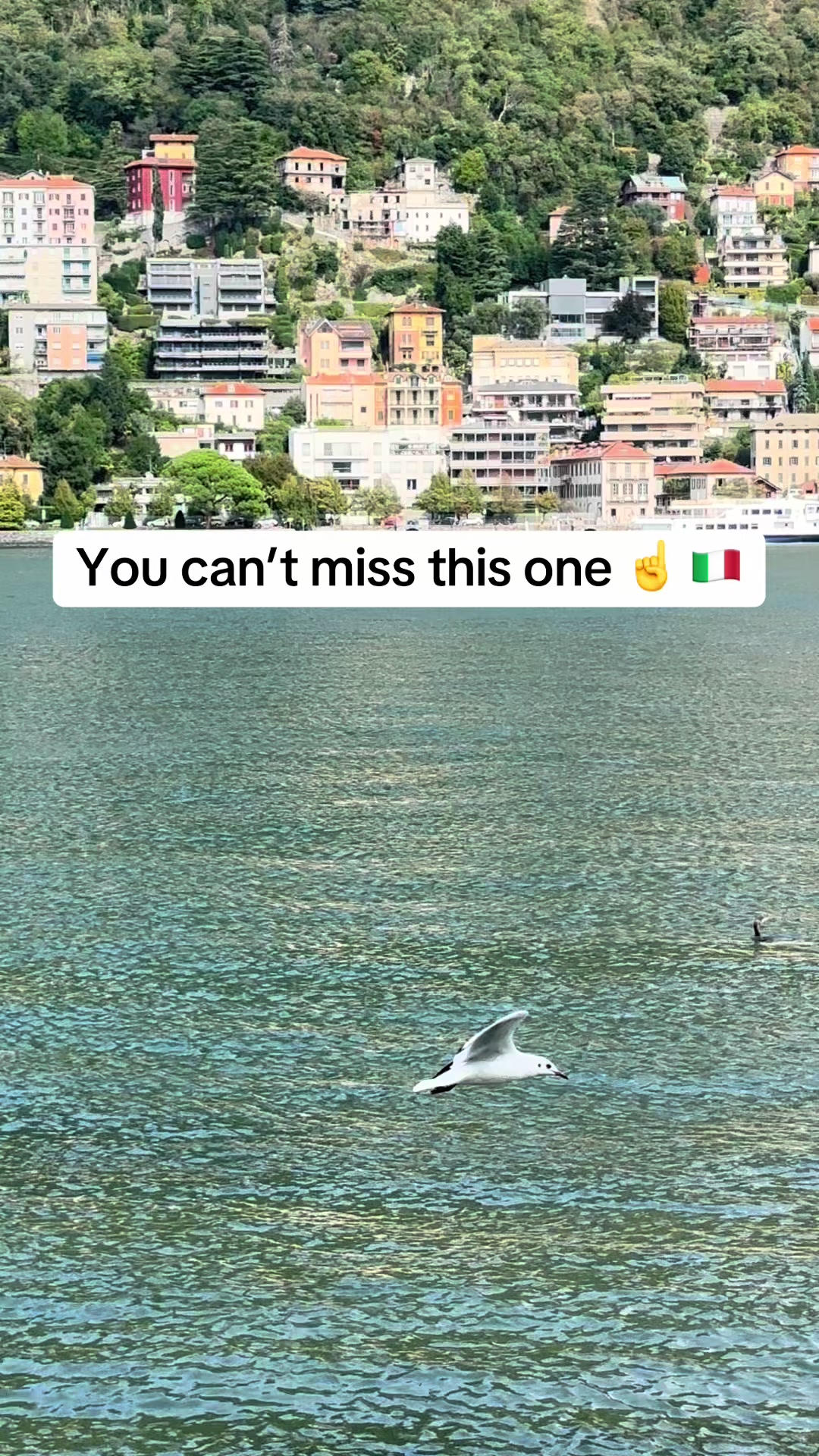 @Explore Everywhere 🌏