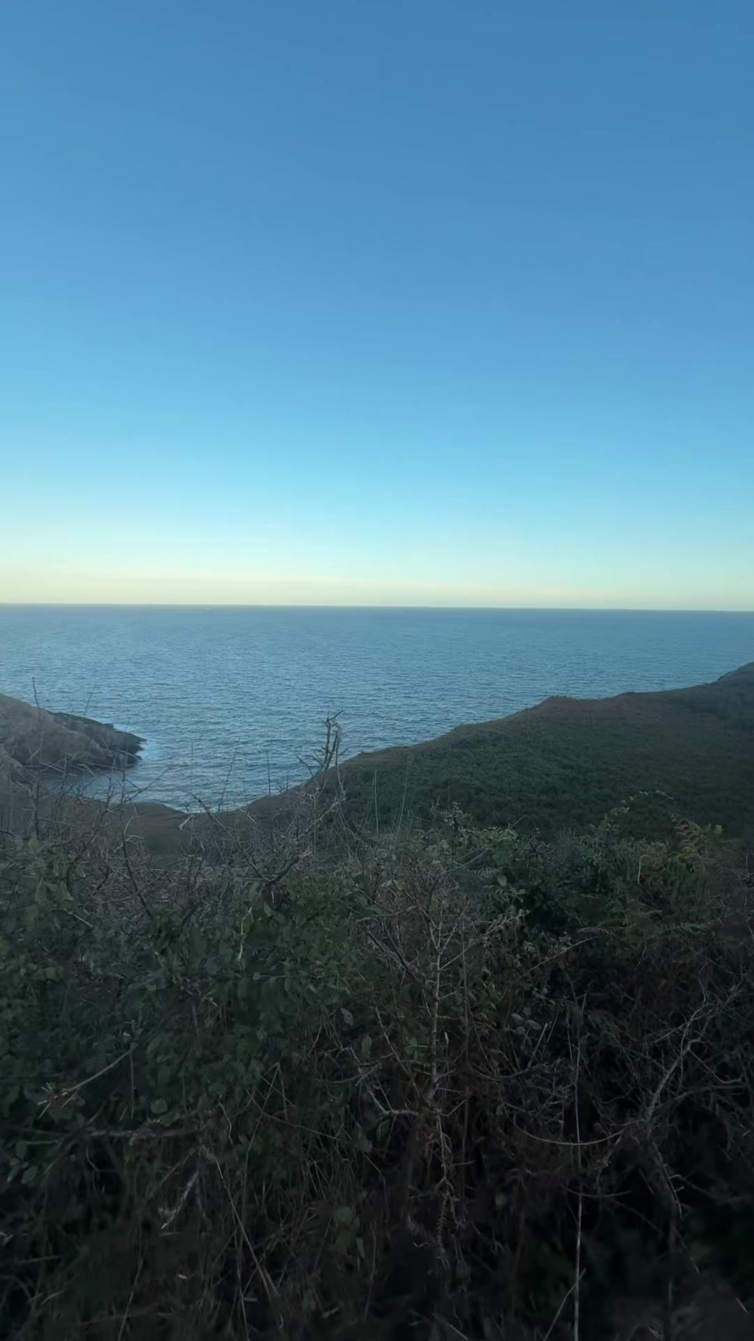@SoberFern🤟🏼🤟🏼