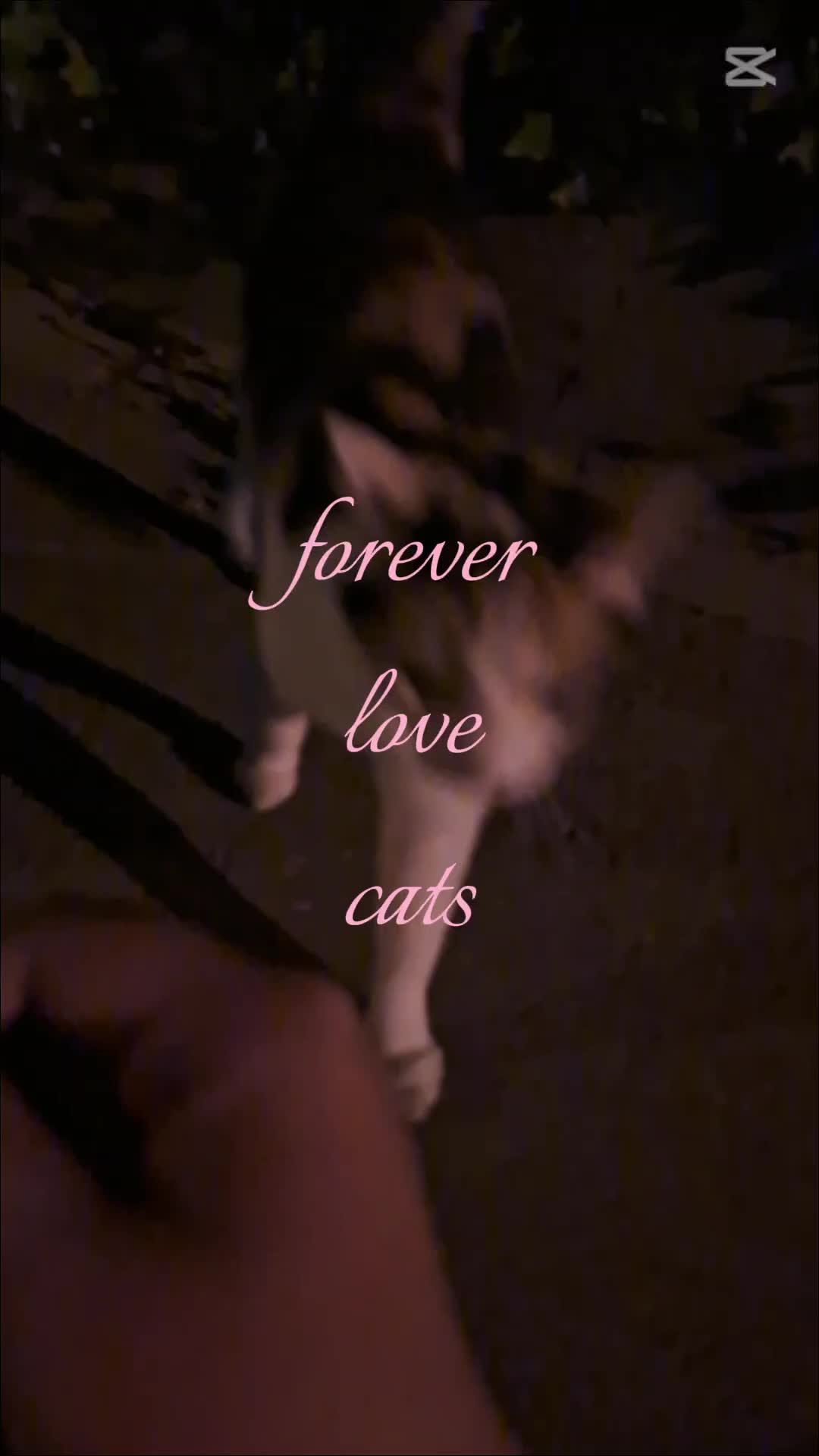 @💋L🌺