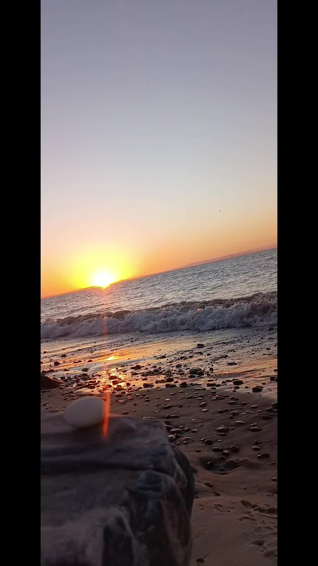 @AutoNina